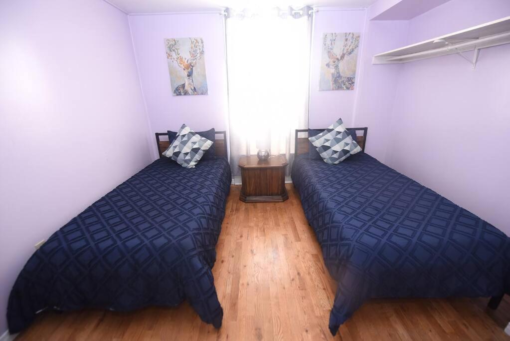 Prime Location Duo Nest & Rest Apartment Kingston Exterior photo